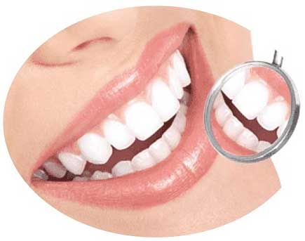 Artificial Denture Rigid (Partial Set)