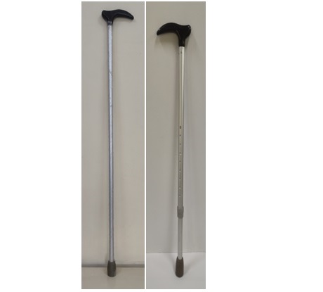 Walking Stick